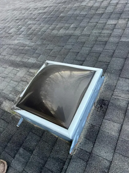 portifolio-2-529x705