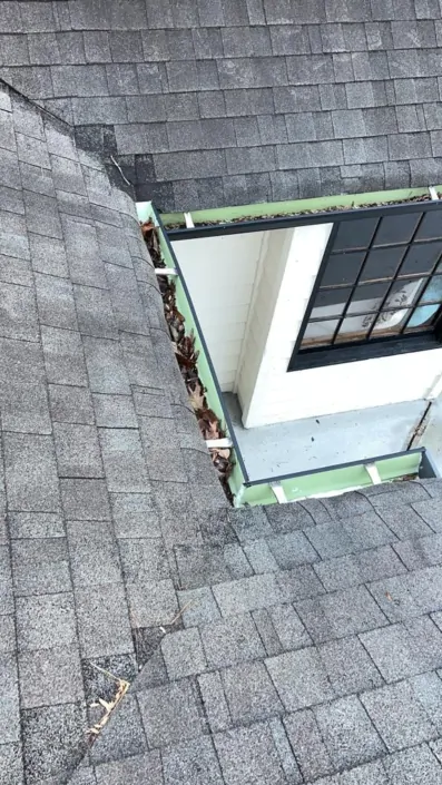 portifolio-3-1-397x705