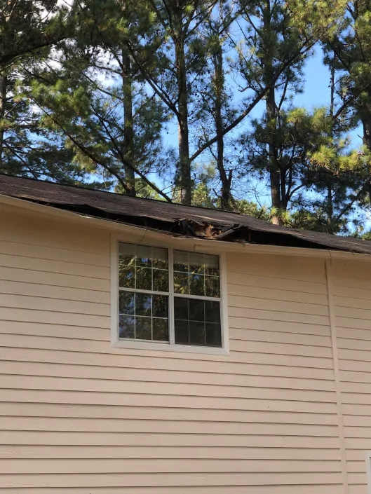 trujilhotreeservice03-529x705