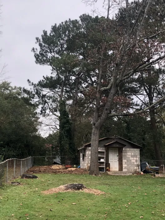 trujilhotreeservice07-529x705