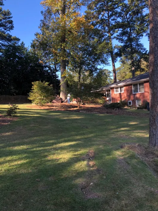 trujilhotreeservice10-1-529x705